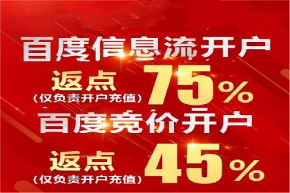 SEM服务公司成功案例解读